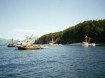 Salmon fishing boats