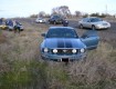 Mustang used in Oregon pursuit 3 8 07