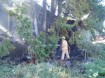 salem shed fire