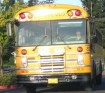 School Bus