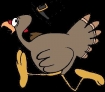 Turkey running