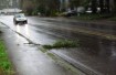 wind and rain in Salem, Oregon