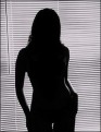 Salem-News.com
