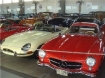 A pair of classics in Mexico City; a Jaguar and a Mercedes Photos by Anthony Wright 