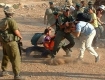 Israeli soldiers pummeling international peace activists in Occupied Palestine.