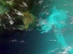 NASA image of gulf oil spill