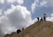 Palestinian activists at Bilin