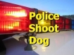 Police shoot dog