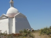 Sheep going to get communion?  One of the unusual sites in Patagonia photographed by Eddie Zawaski and Gail Parker for Salem-News.com.