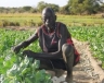 Farmers in Sudan