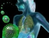 H1N1 virus