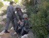 Arrest in Al-Walaja in the Occupied Territories