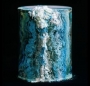 Cremated remains 