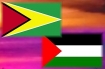 Flags of Guyana and Palestine