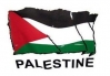 Palestine flag