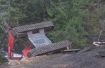 logging accident