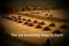 Siege of Gaza