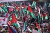 Palestine flags
