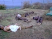 Body of reporter Shoba 