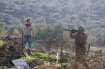 Palestine Israeli square off
