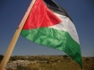 Palestine flag