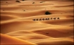 Arab desert