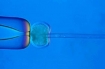 Stem Cell Cloning