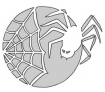 Spider web