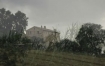 Road to Urbino by Roma Tearne