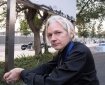 free assange
