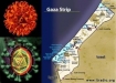 Gaza researchers find cure for hepatitis C