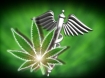 Marijuana health