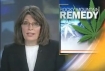 Montant newscast about medical marijuana