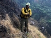 ODF Firefighter