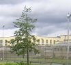 OSP in Salem