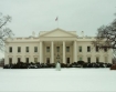 white house