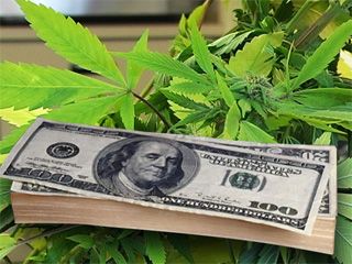 Money and Marijuana