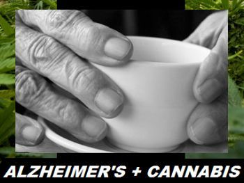 alzheimers-cannabis