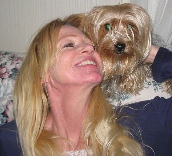 Yorkie named Penny that was missing just before Christmas in Canby, Oregon 2006