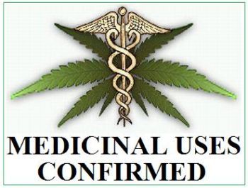 medical marijuana