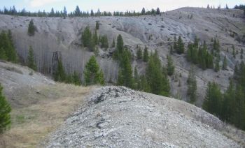 Big Hole Forest Reserve in Montana