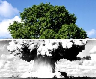 Atomic tree