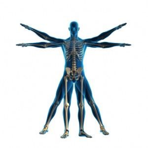 Muscle balance
