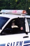 Ike the police dog
