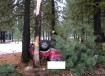 fatal car accident near Klamath Falls