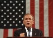 Bush with flag