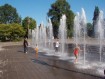 Fun in the sun