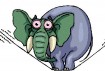 Elephant art on tightrope