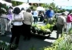 Wednesday Farmer`s Market
