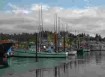 fishing boats